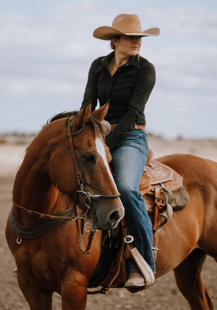Horse breaking and training