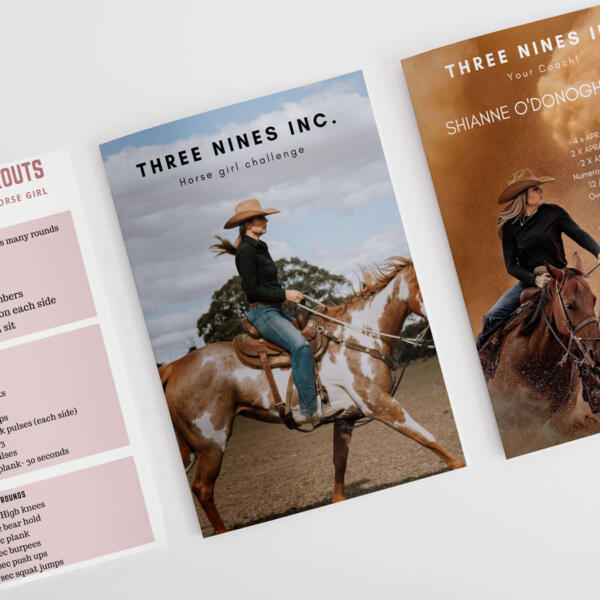 Three-nines-package-brochures