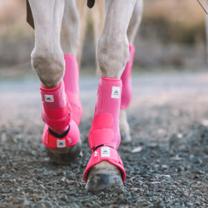 Equine products