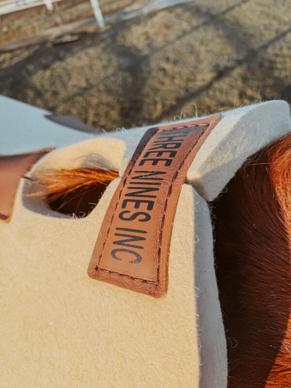 Three Nines Saddle pads on horse